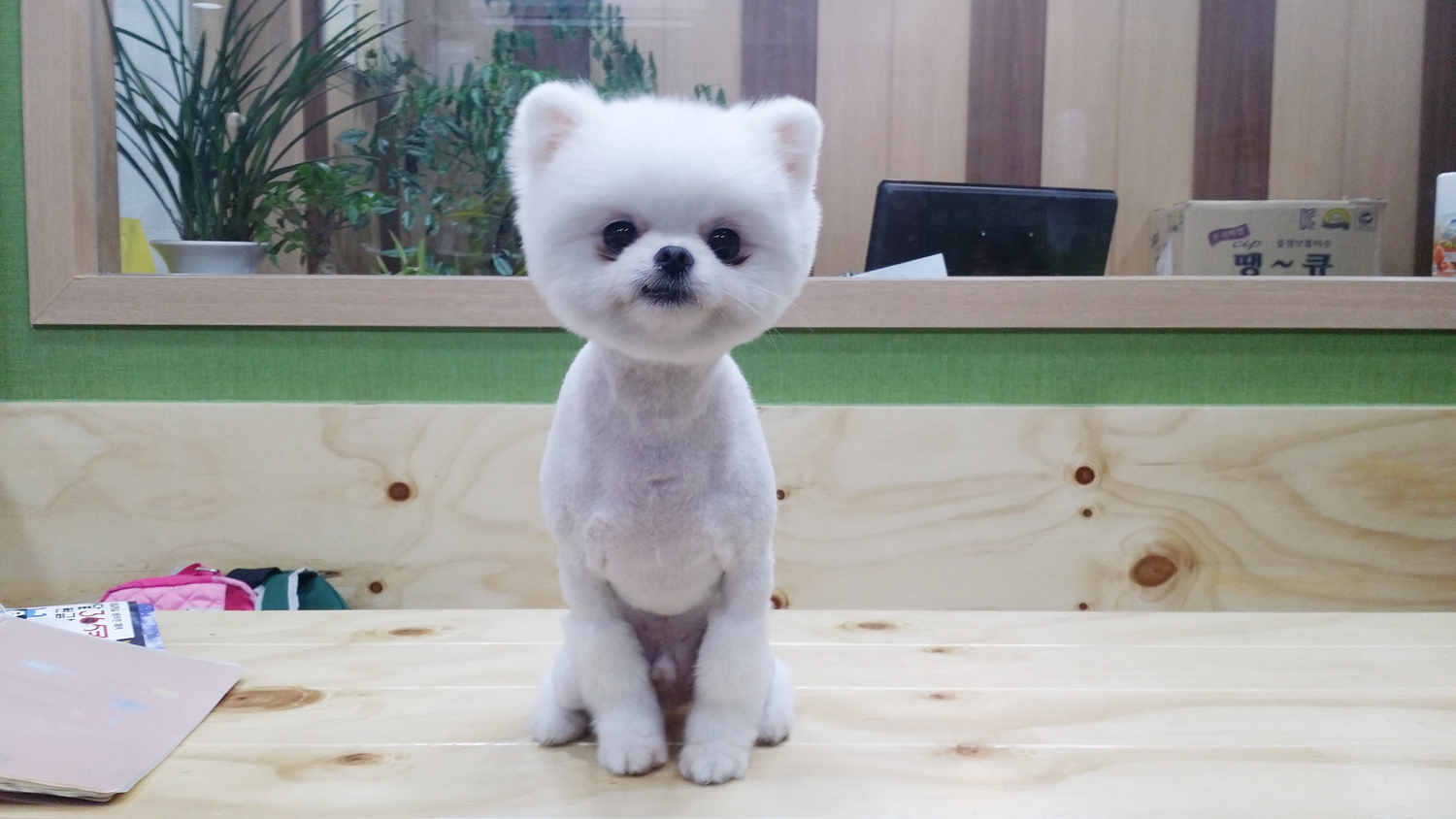 20150121_202515.jpg