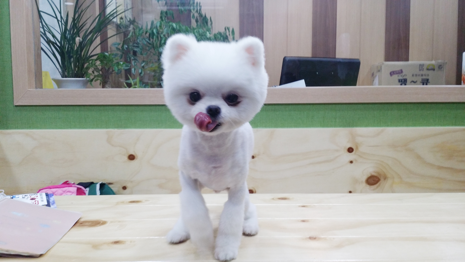20150121_202517.jpg