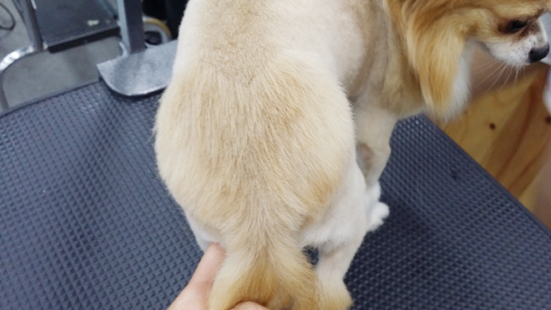 20150709_172715.jpg