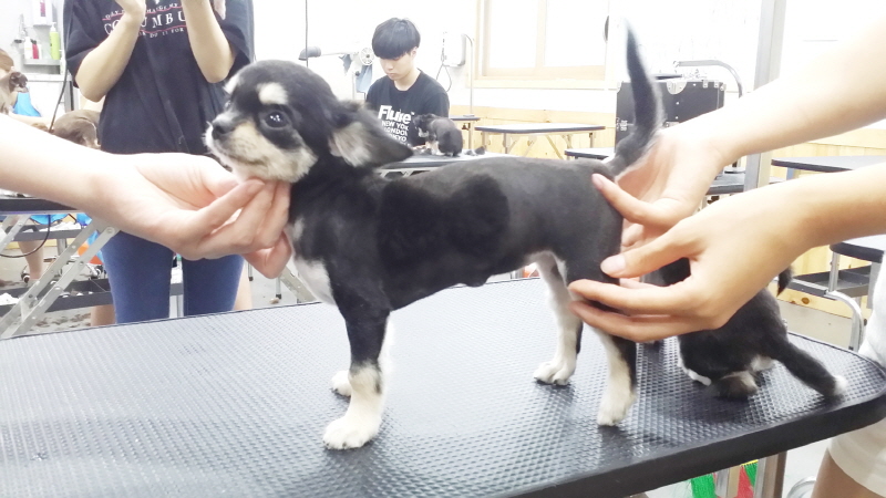 20150709_173112.jpg