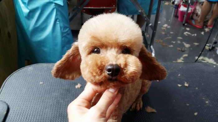 20150617_141604.jpg