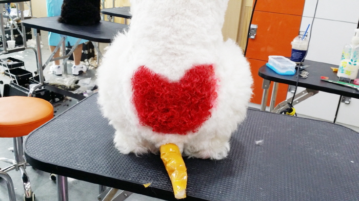 20150624_151911.jpg