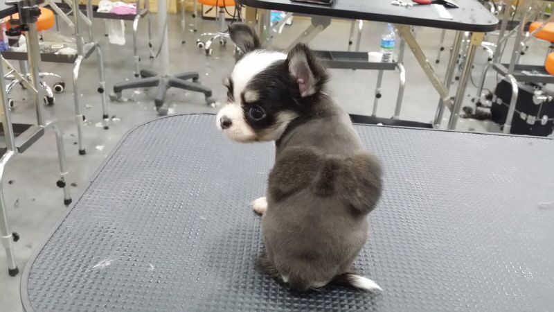 20150709_185458.jpg