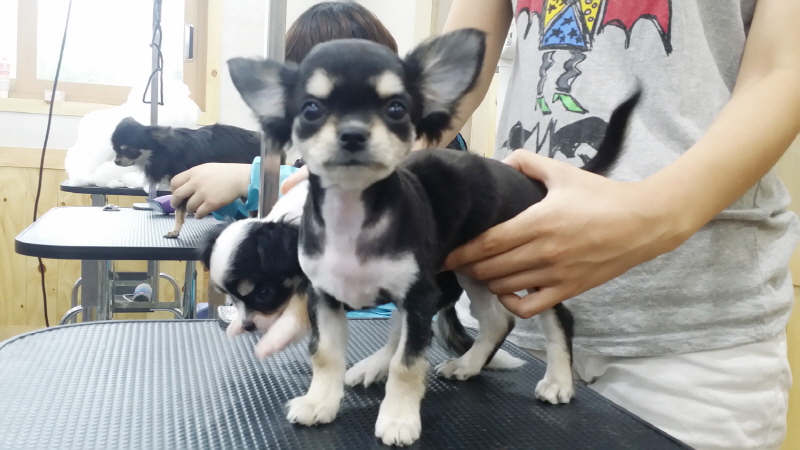 20150709_173005.jpg