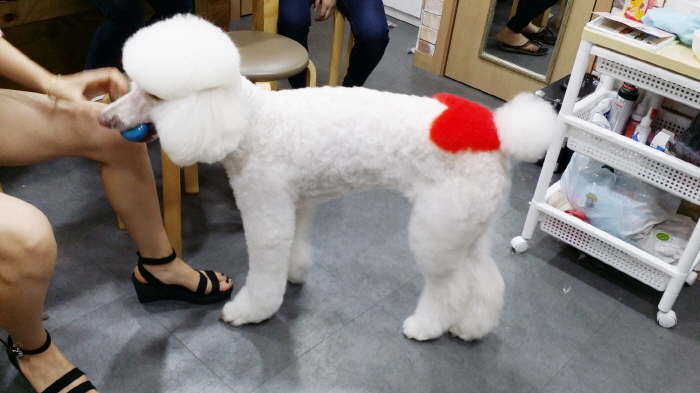 20150624_172813.jpg