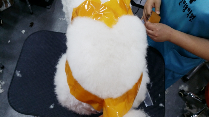 20150624_144313.jpg