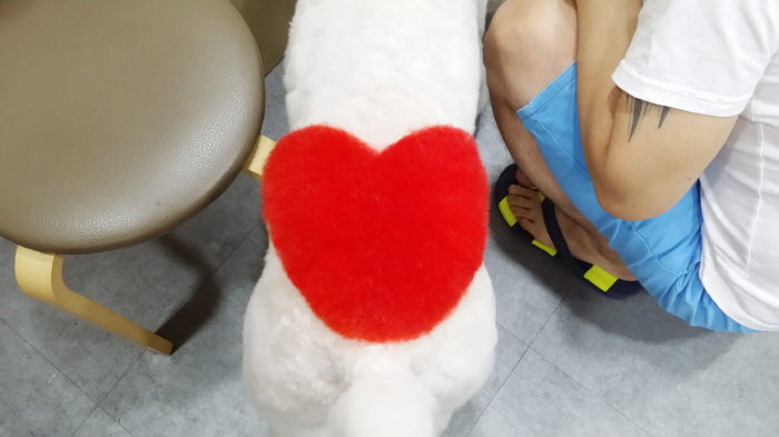 20150624_172345.jpg