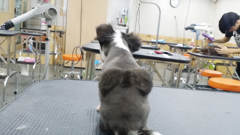 20150709_185503.jpg