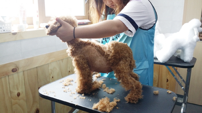 20150617_135431.jpg