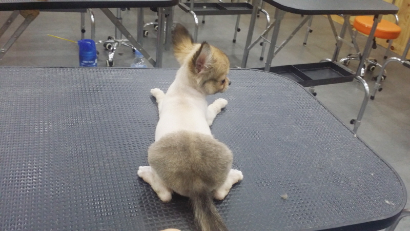 20150709_202348.jpg