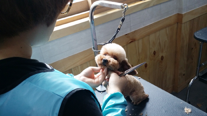 20150617_135657.jpg